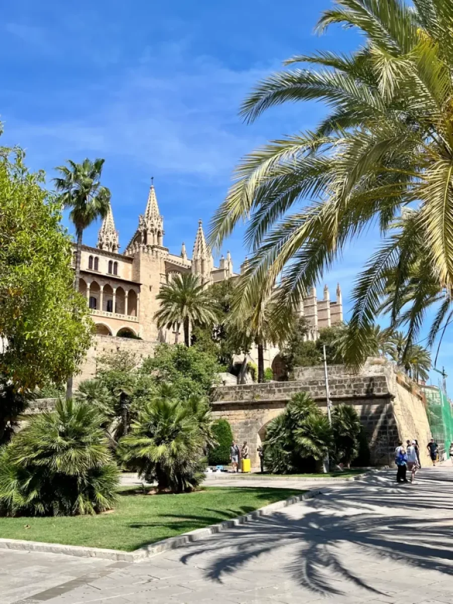 palma (3)