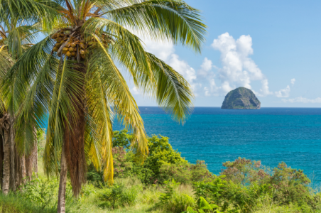 Adresa prístavu: Tourelles Cruise Port, Fort-de-France 97200, Martinique